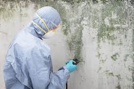 Best Real Estate Mold Inspection  in Weddington, NC